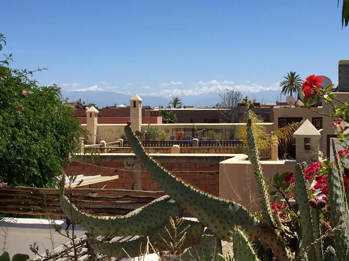 Riad De Vinci & Spa Marakeş