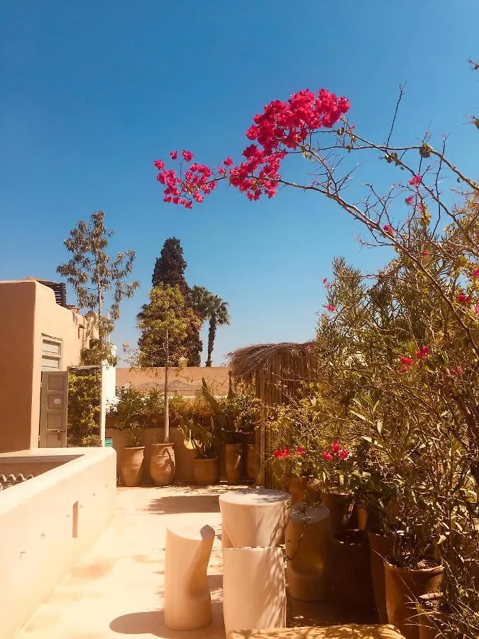 Riad De Vinci & Spa Marrakesh